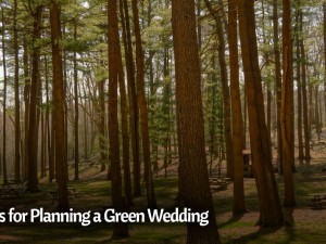 5 Tips for Planning a Green Wedding