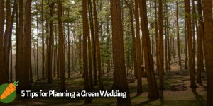 5 Tips for Planning a Green Wedding